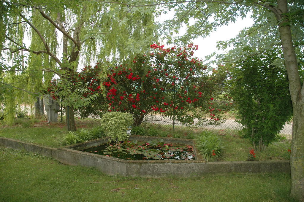 Bed and Breakfast Rose Rosse à Cadi David Extérieur photo